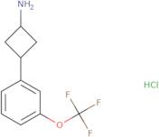 3-[3-(Trifluoromethoxy)phenyl]cyclobutan-1-amine hydrochloride