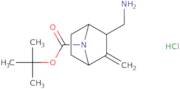 tert-Butyl rac-(1S,2R,4R)-2-(aminomethyl)-3-methylene-7-azabicyclo[2.2.1]heptane-7-carboxylate hyd…