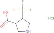 rac-(3R,4R)-4-(Trifluoromethyl)pyrrolidine-3-carboxylic acid hydrochloride