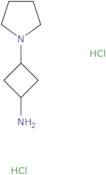 rac-(1S,3S)-3-(Pyrrolidin-1-yl)cyclobutan-1-amine dihydrochloride