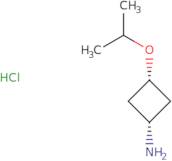 cis-3-(Propan-2-yloxy)cyclobutan-1-amine hydrochloride