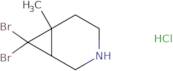 rac-(1R,6R)-7,7-Dibromo-6-methyl-3-azabicyclo[4.1.0]heptane hydrochloride, cis