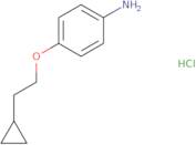 4-(2-Cyclopropylethoxy)aniline hydrochloride