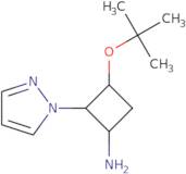 3-(tert-Butoxy)-2-(1H-pyrazol-1-yl)cyclobutan-1-amine