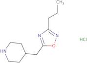 4-[(3-Propyl-1,2,4-oxadiazol-5-yl)methyl]piperidine hydrochloride