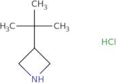 3-tert-Butylazetidine hydrochloride