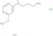 N1-(6-Methoxypyrimidin-4-yl)propane-1,3-diamine dihydrochloride