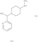 N-Methyl-1-[1-(pyridin-2-yl)ethyl]piperidin-4-amine dihydrochloride