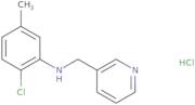 2-Chloro-5-methyl-N-(pyridin-3-ylmethyl)aniline hydrochloride