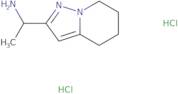 1-{4H,5H,6H,7H-Pyrazolo[1,5-a]pyridin-2-yl}ethan-1-amine dihydrochloride