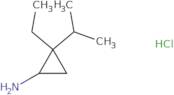 2-Ethyl-2-(propan-2-yl)cyclopropan-1-amine hydrochloride