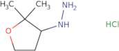 (2,2-Dimethyloxolan-3-yl)hydrazine hydrochloride