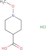 1-Methoxypiperidine-4-carboxylic acid hydrochloride