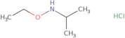 Ethoxy(propan-2-yl)amine hydrochloride