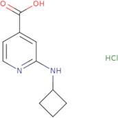 2-(Cyclobutylamino)pyridine-4-carboxylic acid hydrochloride