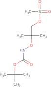 tert-Butyl N-{[1-(methanesulfonyloxy)-2-methylpropan-2-yl]oxy}carbamate