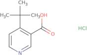 4-tert-Butylpyridine-3-carboxylic acid hydrochloride