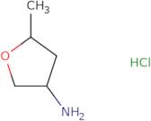 5-Methyloxolan-3-amine hydrochloride