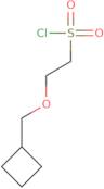 2-(Cyclobutylmethoxy)ethane-1-sulfonyl chloride