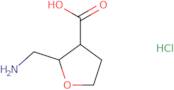 2-(Aminomethyl)oxolane-3-carboxylic acid hydrochloride