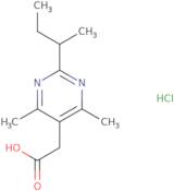 2-[2-(Butan-2-yl)-4,6-dimethylpyrimidin-5-yl]acetic acid hydrochloride