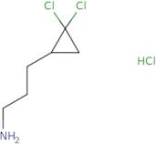 3-(2,2-Dichlorocyclopropyl)propan-1-amine hydrochloride