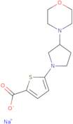 Sodium 5-[3-(morpholin-4-yl)pyrrolidin-1-yl]thiophene-2-carboxylate