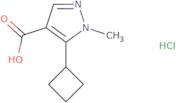 5-Cyclobutyl-1-methyl-1H-pyrazole-4-carboxylic acid hydrochloride