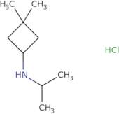 3,3-Dimethyl-N-(propan-2-yl)cyclobutan-1-amine hydrochloride