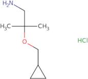 2-(Cyclopropylmethoxy)-2-methylpropan-1-amine hydrochloride