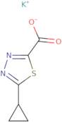 Potassium 5-cyclopropyl-1,3,4-thiadiazole-2-carboxylate