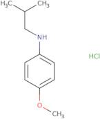 4-Methoxy-N-(2-methylpropyl)aniline hydrochloride