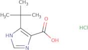 4-tert-Butyl-1H-imidazole-5-carboxylic acid hydrochloride