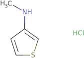 N-Methylthiophen-3-amine hydrochloride