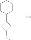 3-Cyclohexylcyclobutan-1-amine hydrochloride