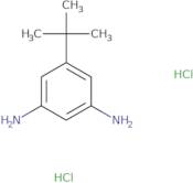 5-tert-Butylbenzene-1,3-diamine dihydrochloride