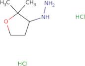 (2,2-Dimethyloxolan-3-yl)hydrazine dihydrochloride