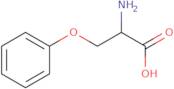 O-Phenyl-serine