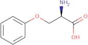 (R)-2-amino-3-phenoxypropanoic acid ee