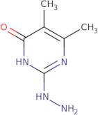 2-Hydrazinyl-5,6-dimethyl-3,4-dihydropyrimidin-4-one