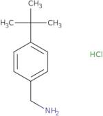 (4-tert-Butylphenyl)methanamine hydrochloride