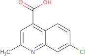 7-Chloro-2-methylquinoline-4-carboxylic acid