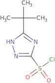 5-tert-Butyl-4H-1,2,4-triazole-3-sulfonyl chloride