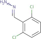 2,6-Dichlorobenzaldehyde hydrazone