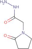 2-(2-Oxopyrrolidin-1-yl)acetohydrazide