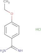 4-Ethoxybenzene-1-carboximidamide hydrochloride