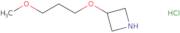 3-(3-Methoxypropoxy)azetidine hydrochloride