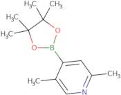 2,5-Dimethyl-4-(tetramethyl-1,3,2-dioxaborolan-2-yl)pyridine
