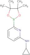 6-(Cyclopropylamino)pyridine-2-boronic acid pinacol ester