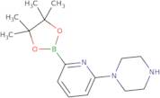 1-(6-(4,4,5,5-Tetramethyl-1,3,2-dioxaborolan-2-yl)pyridin-2-yl)piperazine